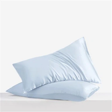 Taie d'oreiller en pure soie